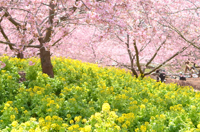 a0293130_12322327.jpg