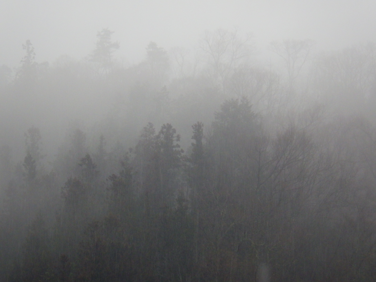 c0300035_8404558.jpg