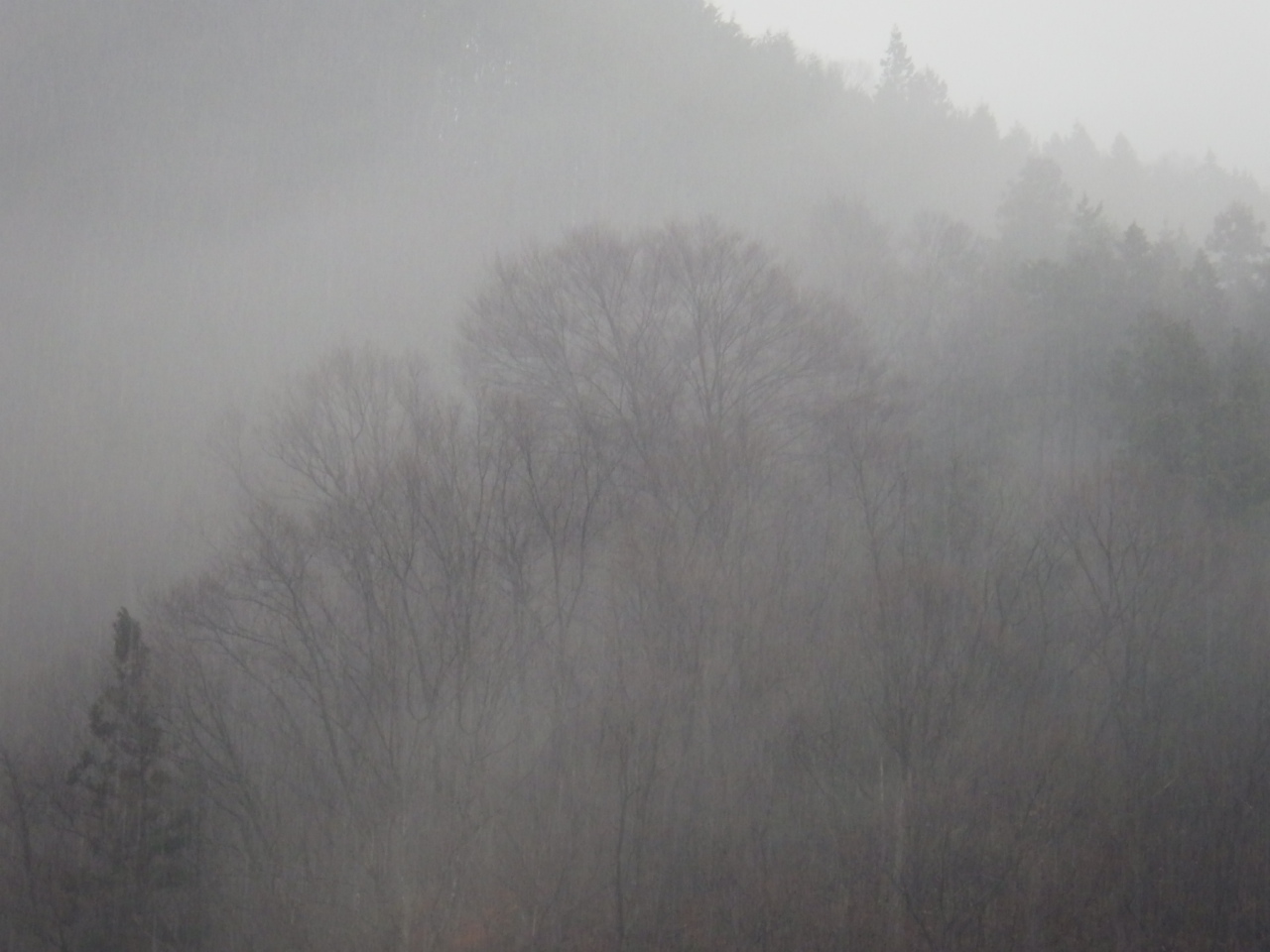 c0300035_8405830.jpg