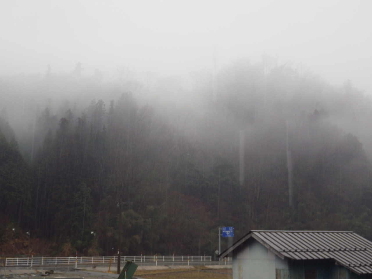 c0300035_8411756.jpg