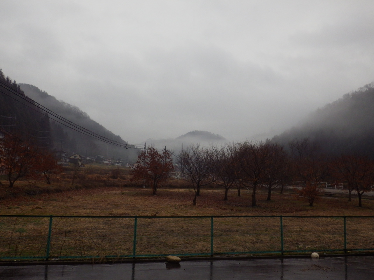c0300035_8412987.jpg