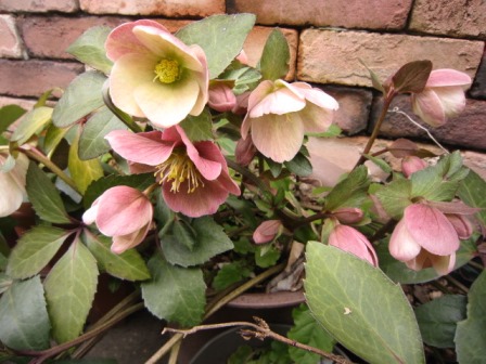 c0025140_23352547.jpg