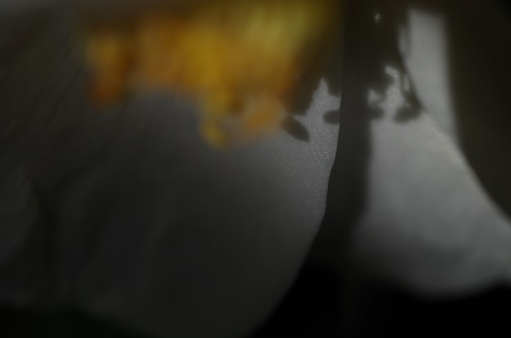 d0165741_16241029.jpg
