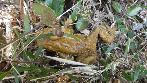 c0042847_1434423.jpg