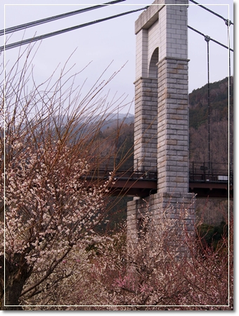 d0013149_22291460.jpg