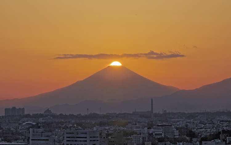 a0150260_5254074.jpg