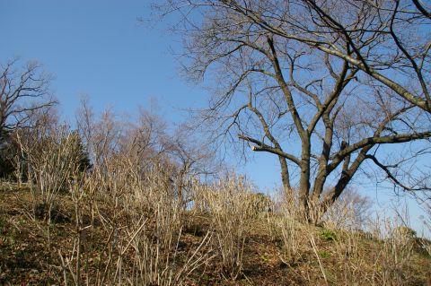 e0045768_2223314.jpg