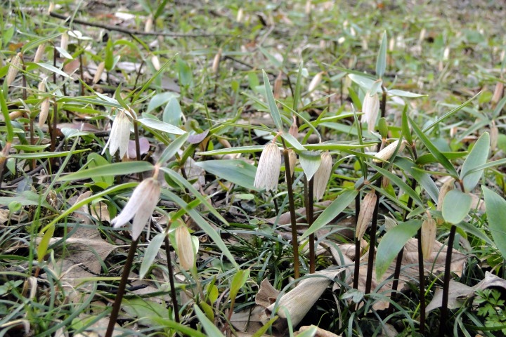 c0248473_11512546.jpg
