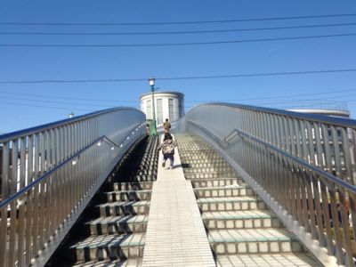a0187575_491761.jpg