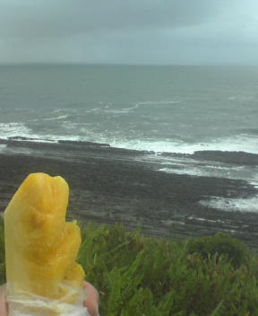 f0137483_10592879.jpg