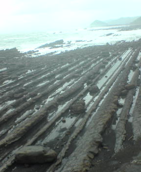f0137483_1103885.jpg