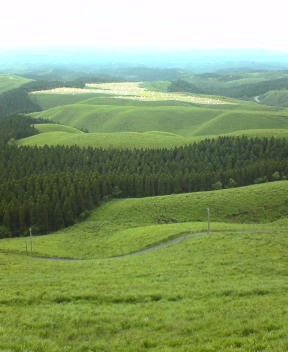f0137483_11222924.jpg