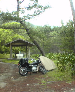 f0137483_1131882.jpg