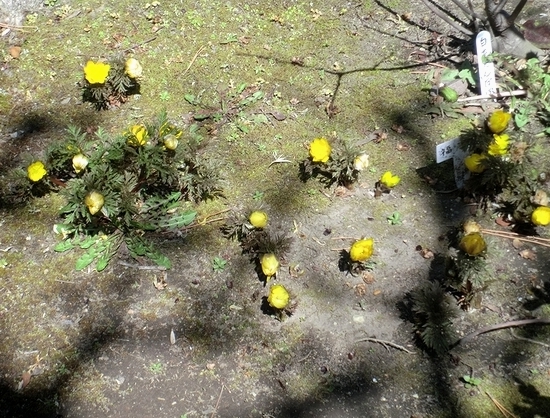 e0143690_224411.jpg