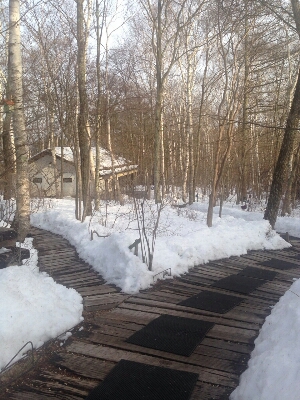 e0121192_2131553.jpg