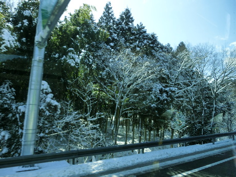 a0252596_19373032.jpg