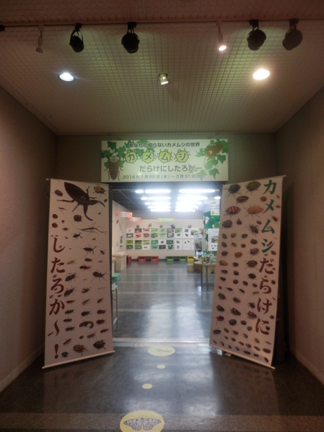 c0062511_20564453.jpg
