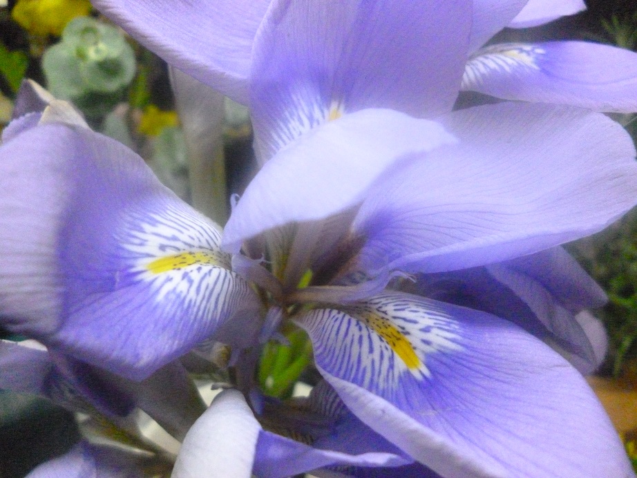 f0228619_1714193.jpg