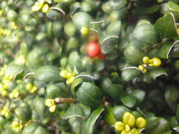 f0228619_9154068.jpg
