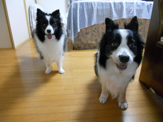 d0059230_16443330.jpg