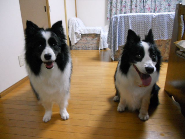 d0059230_1647015.jpg