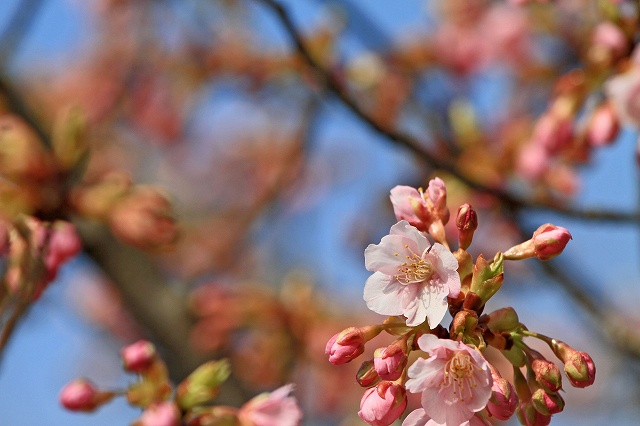 a0242438_21401711.jpg