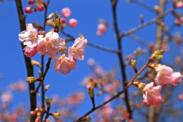 a0242438_2140237.jpg