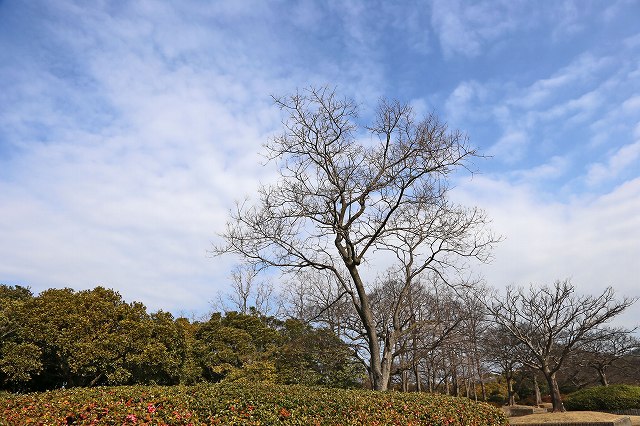 a0242438_21404827.jpg