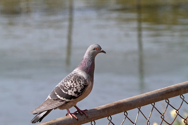 a0242438_21405100.jpg