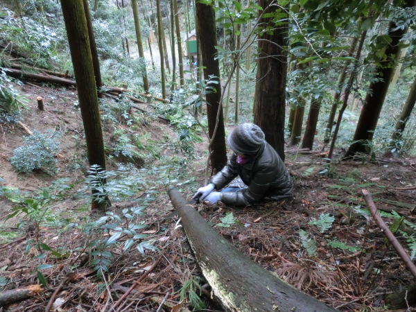 b0132746_20100445.jpg