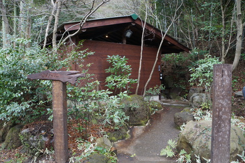 c0206352_1424353.jpg