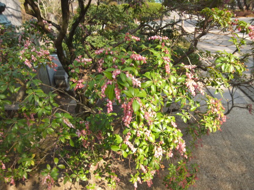 f0310557_22311784.jpg