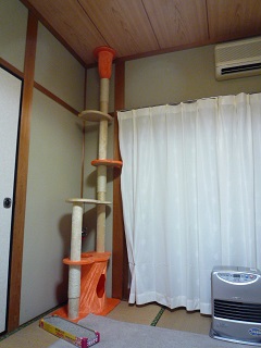 f0221360_2095598.jpg