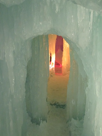 d0029363_2013980.jpg