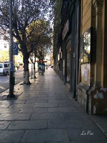 b0243873_21380486.jpg