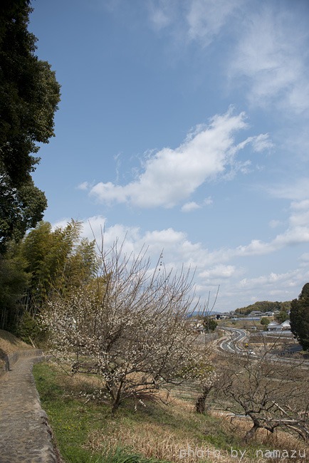 b0280176_11234248.jpg