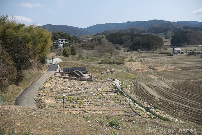 b0280176_1132281.jpg