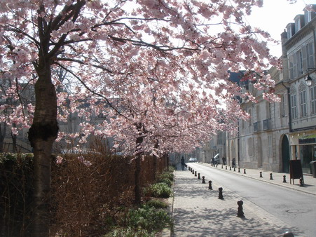 a0247585_7293931.jpg