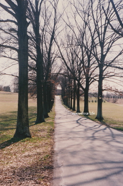 c0191092_17474646.jpg
