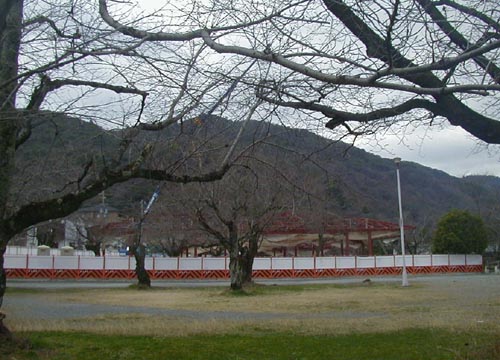 d0053294_239894.jpg