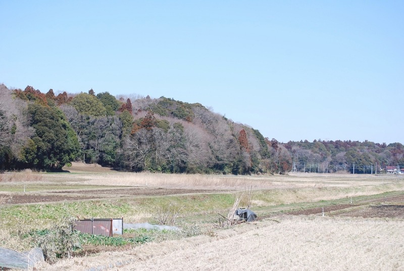 e0025300_14304026.jpg
