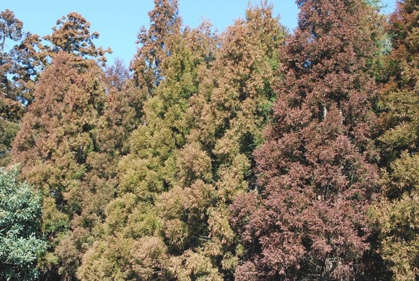 e0025300_14351492.jpg