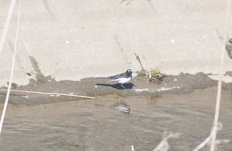 e0025300_14405619.jpg