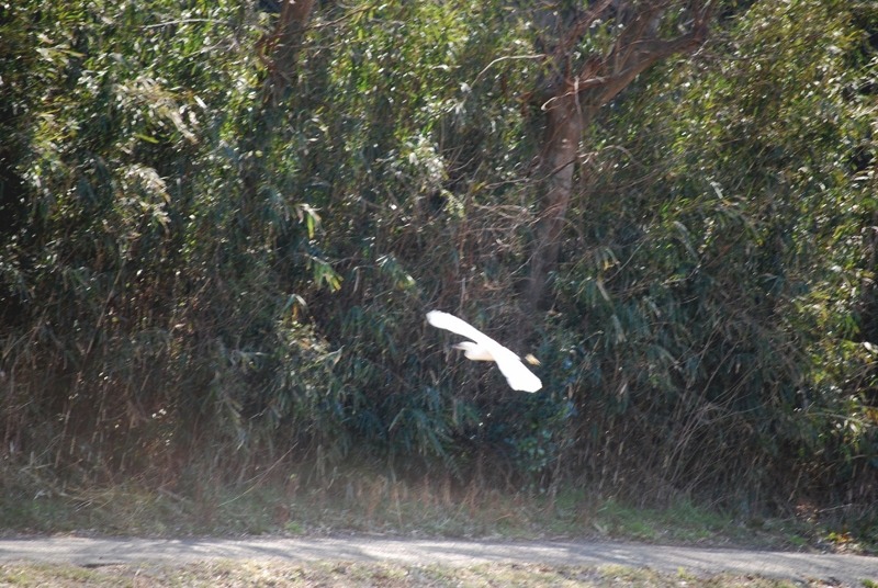 e0025300_14511878.jpg