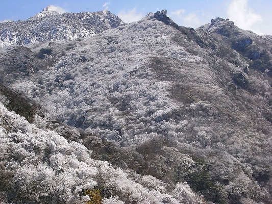 f0187402_21423257.jpg