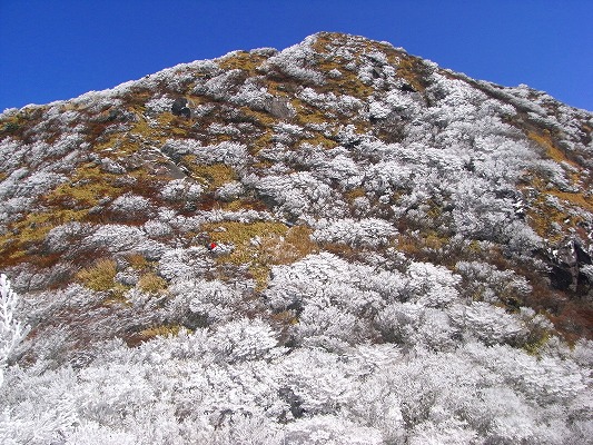 f0187402_21424160.jpg