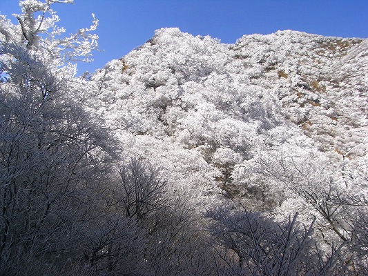 f0187402_21431678.jpg