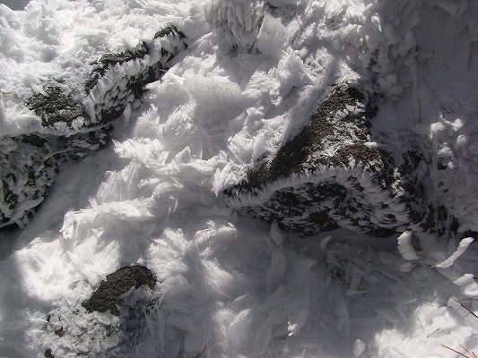 f0187402_21432582.jpg