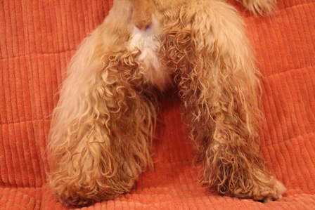 c0128303_1245880.jpg