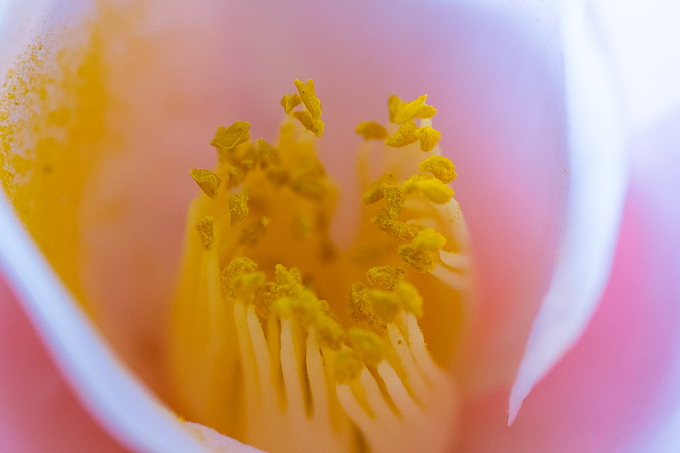 b0071106_10564555.jpg